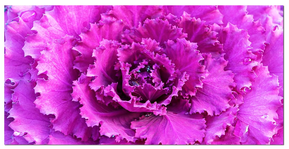 94.5 X 1 X 31.5 Acrylic Painting