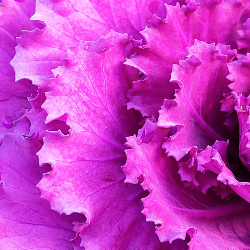 94.5 X 1 X 31.5 Acrylic Painting