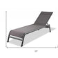 Set of Two 23" Taupe Metal Outdoor Chaise Lounge