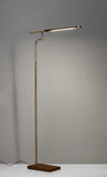 63" Brown LED Task Floor Lamp With Brass