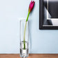 9" Clear Cylindrical Lead Free Crystal Bud Table Vase
