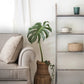 60" Gray Rustic Five Step Wood Ladder Shelf
