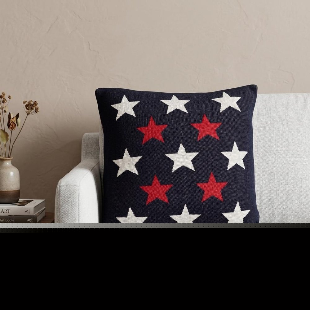 20" Black and White Cotton Throw Pillow