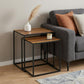 Set of Two Brown and Black Metal And Faux Snake Leather Nesting End Tables