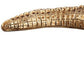 Golden Crocodile Brass Finish Sculpture