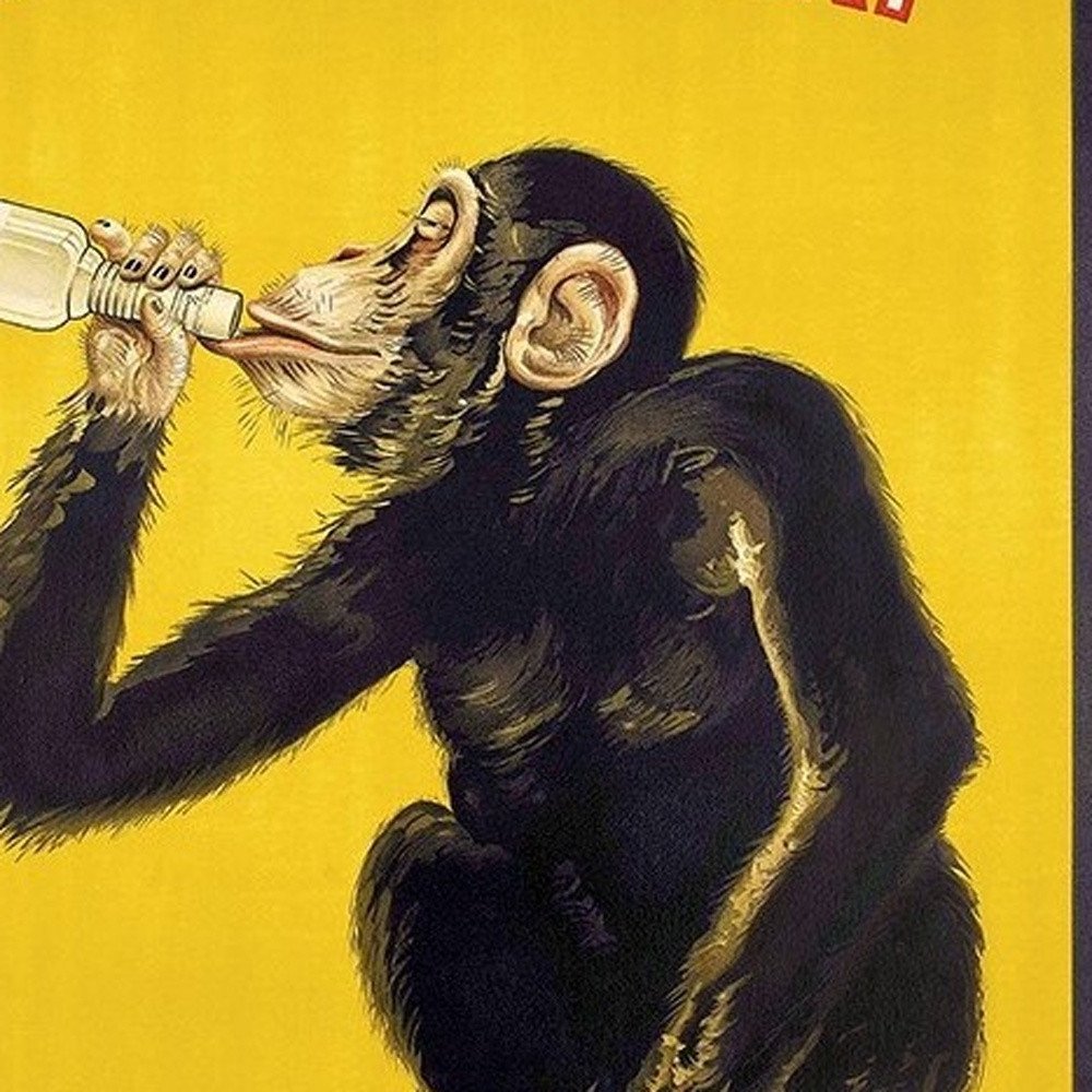 Anisetta Evangelisti Italian Liquor Unframed Print Wall Art