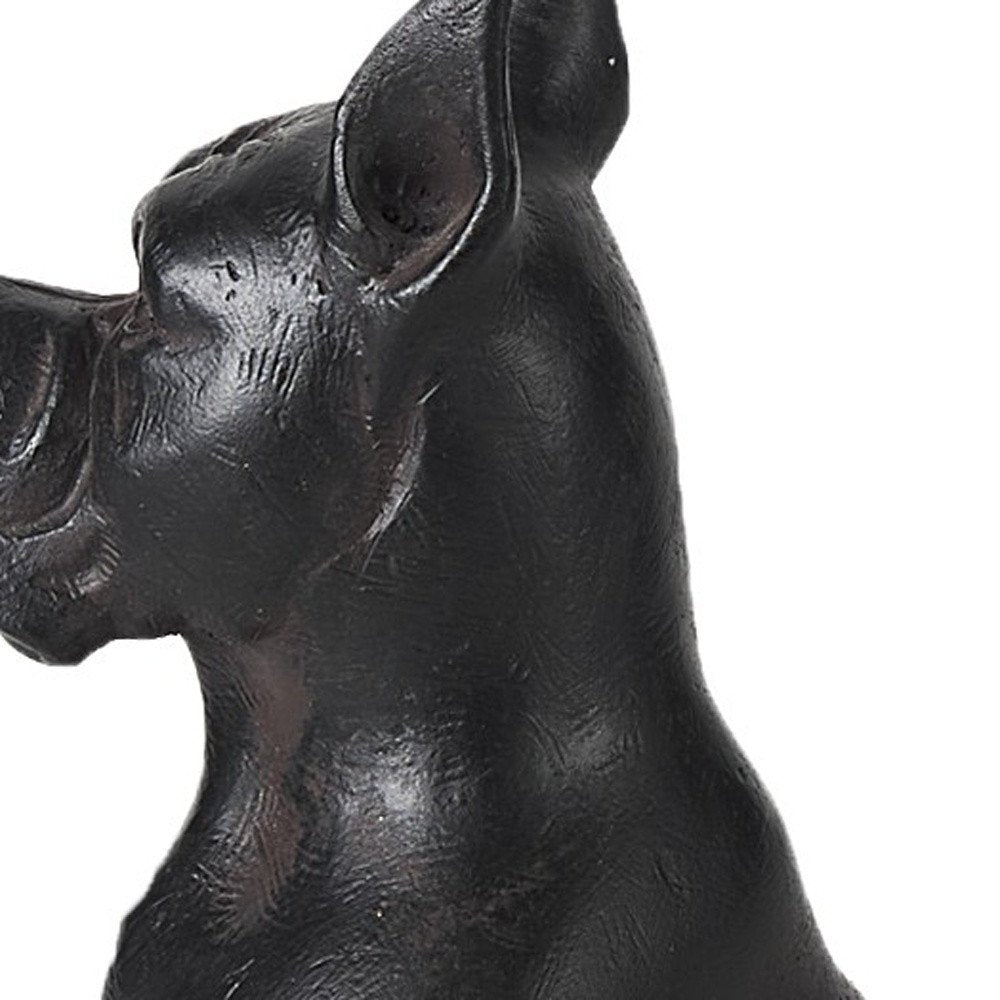 9" Black Resin Bull Dog Tabletop Sculpture