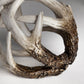 5" Off White And Brown Resin Faux Antler Decorative Orb
