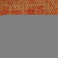 Orange and Black Floral Cotton