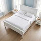 White Solid Wood Queen Bed Frame