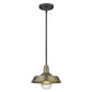 Brushed Gold Shallow Plate Adjustable Pendant Light
