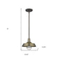 Brushed Gold Shallow Plate Adjustable Pendant Light