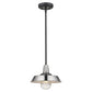 Silver Shallow Plate Adjustable Pendant Light