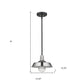 Silver Shallow Plate Adjustable Pendant Light