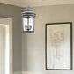Kingston 4-Light Antique Lead Foyer Pendant With Curved Water Glass Panes