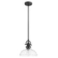 Matte Black Hanging Light with Glass Dome Shade