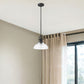 Matte Black Hanging Light with Glass Dome Shade