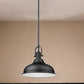 Matte Black Hanging Light with Dome Shade