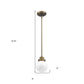 Brushed Gold Metal Hanging with Round Glass Shade