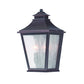Black And Clear Two Light Transparent Dimmable Outdoor Hanging Lights With Antiqued Brass Shades