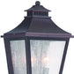 Black And Clear Two Light Transparent Dimmable Outdoor Hanging Lights With Antiqued Brass Shades