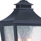 Black And Clear Two Light Transparent Dimmable Outdoor Hanging Lights With Black Shades