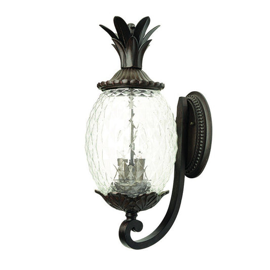 22" Black And Clear Metal and Glass Vanity Flush Mounted Sconce