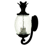 22" Black And Clear Metal and Glass Vanity Flush Mounted Sconce