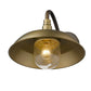 Antiqued Brass Seeded Dimmable Outdoor Hanging Light With Brass Shades