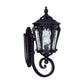 23" Black And Clear Metal and Glass Flush Mounted Sconce