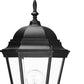 22" Black And Clear Metal Flush Mounted Sconce