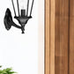 22" Black And Clear Metal Flush Mounted Sconce