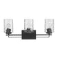 10" Black And Clear Metal and Glass Vanity Flush Mounted Sconce