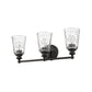 9" Black And Clear Metal and Glass Vanity Flush Mounted Sconce