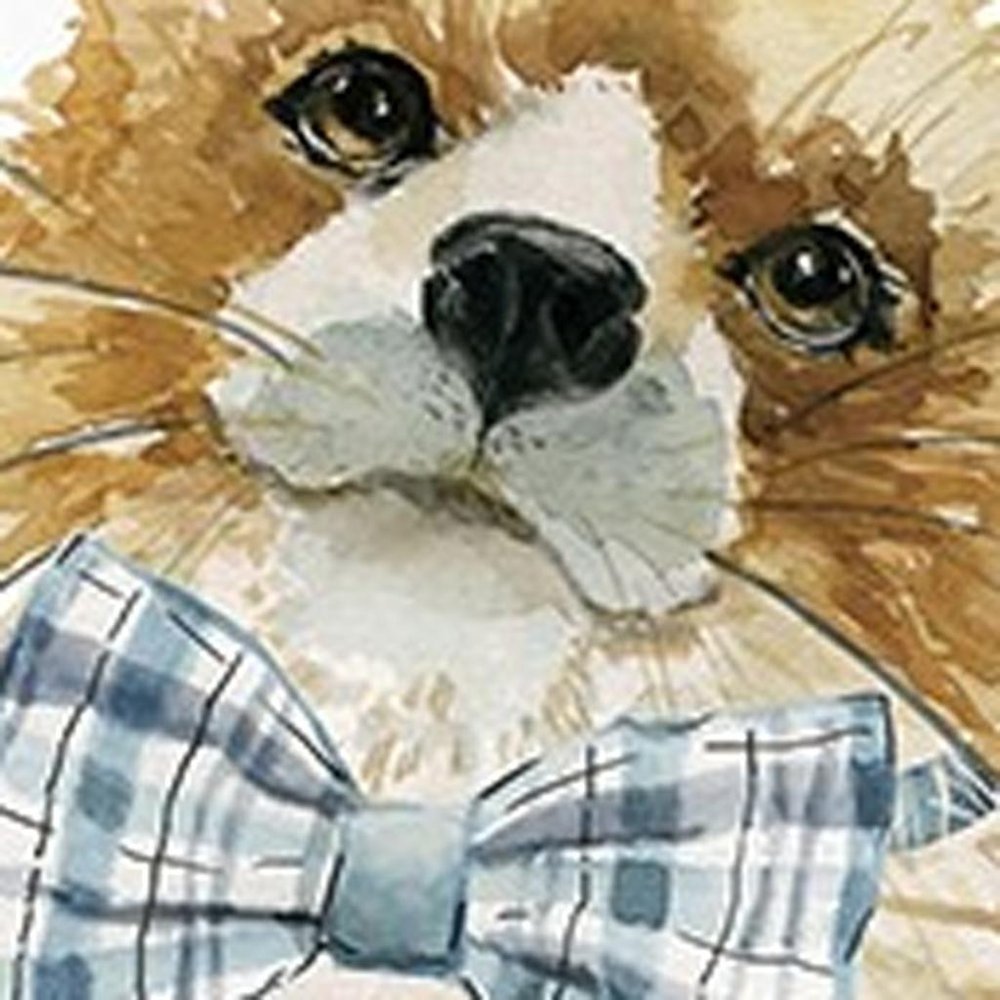 20" x 20" Watercolor Cutie Bow Tie Fox Canvas Wall Art