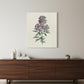 Singular Purple Blossom Branch Unframed Print Wall Art