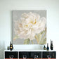 Angelic White Peony Flower Unframed Print Wall Art