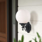 Matte Black Round Acrylic Globe Wall Sconce