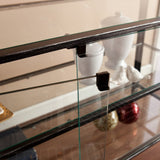 Rustic Black and Glass Double Door Cabinet