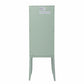 Pale Green Crosshatch Accent Storage Cabinet