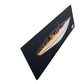 12" Black and White Solid Wood Hand Painted Shamrock V Yacht Half-Hull Model Boat