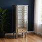 18" Silver Mirrored Writing Desk With Seven Drawers