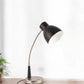 Black Matte and Silver LED Adjustable Desk Lamp