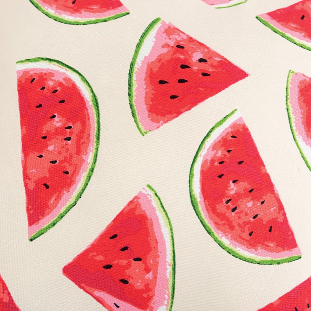 22" Natural And Red Watermelon Indoor Outdoor Throw Pillow