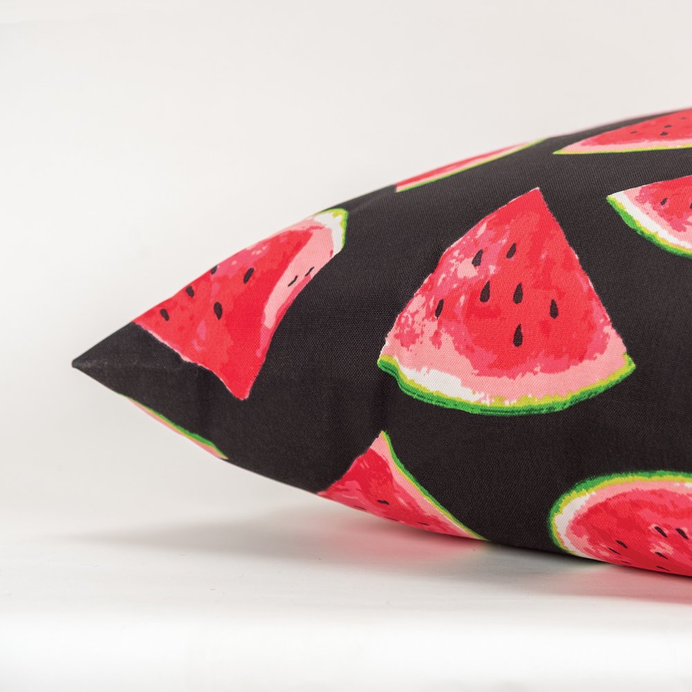 22" Natural And Red Watermelon Indoor Outdoor Throw Pillow