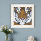 Tiger Gaze 1 White Framed Print Wall Art