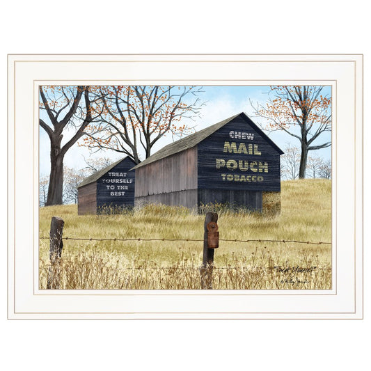 Treat Yourself Mail Pouch Barn 1 White Framed Print Wall Art