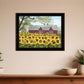 Sunshine 5 Black Framed Print Wall Art