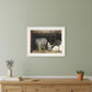 Chicken Feed 1 White Framed Print Wall Art