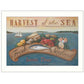 Sea Harvest White Framed Print Kitchen Wall Art